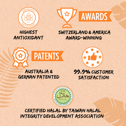 Brew Kombucha Passion Fruit | Alishan High Mountain Green Tea (5g x10s)