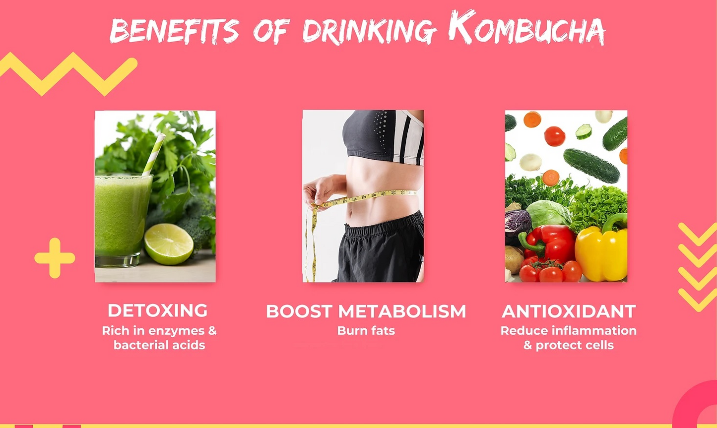 Brew Kombucha Passion Fruit | Alishan High Mountain Green Tea (5g x10s)