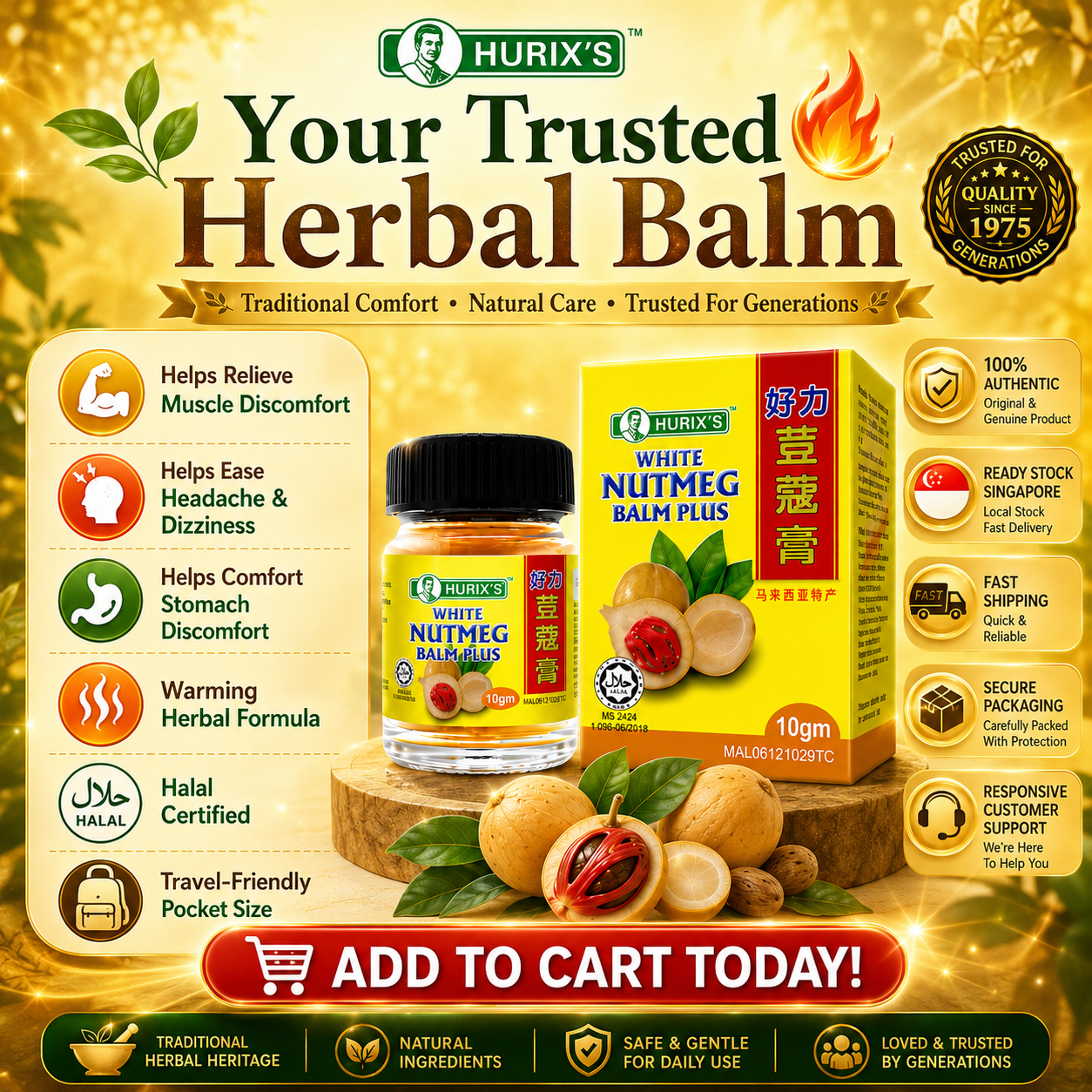 Hurix’s White Nutmeg Balm Plus 10gm | Herbal Balm | Headache, Flatulence & Muscle Relief