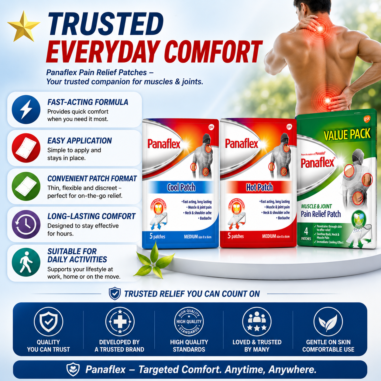 PANAFLEX Pain Relief Patch | Cool Patch | Hot Patch | Muscle & Joint Patch
