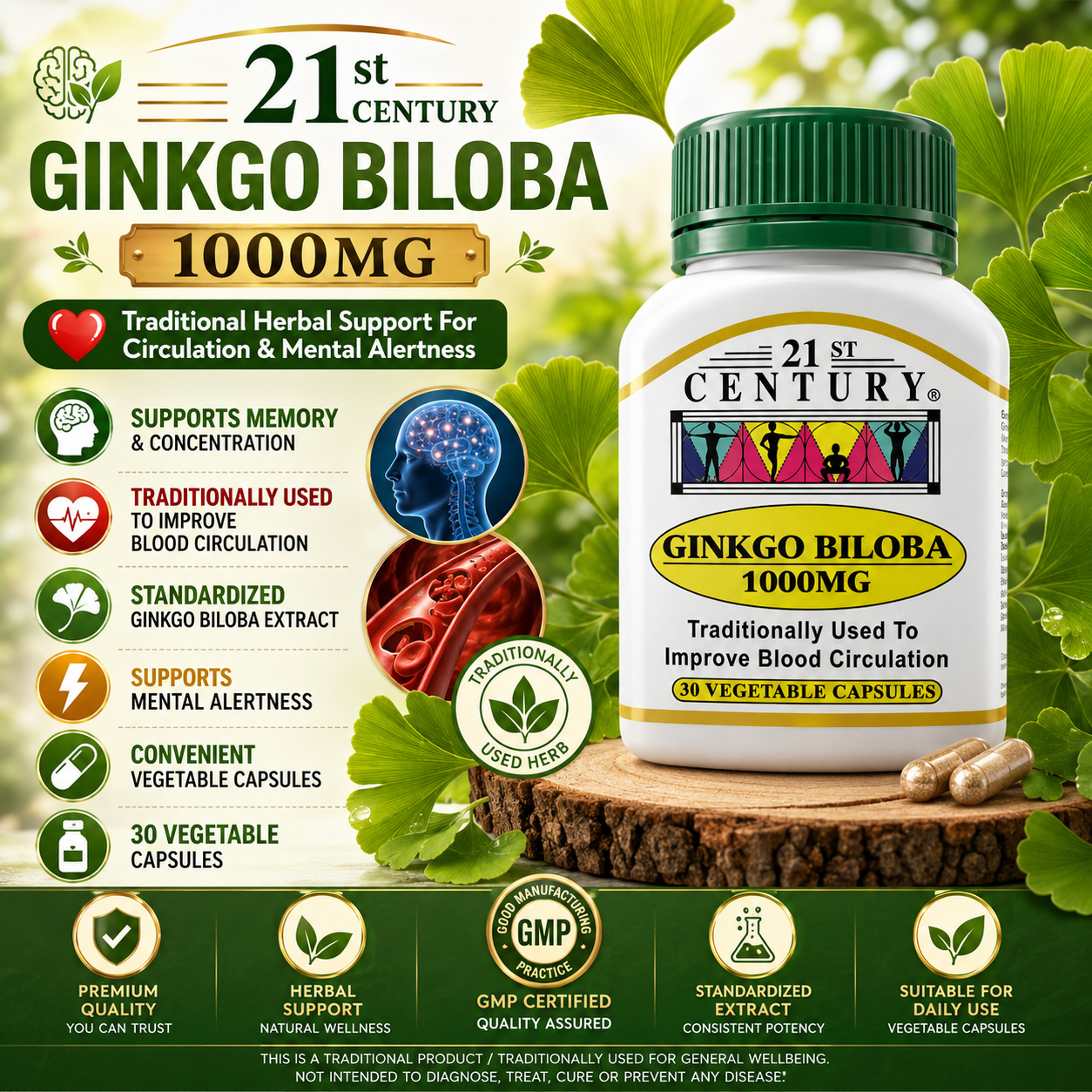 21st Century Ginkgo Biloba 1000mg | Blood Circulation & Brain Support Supplement