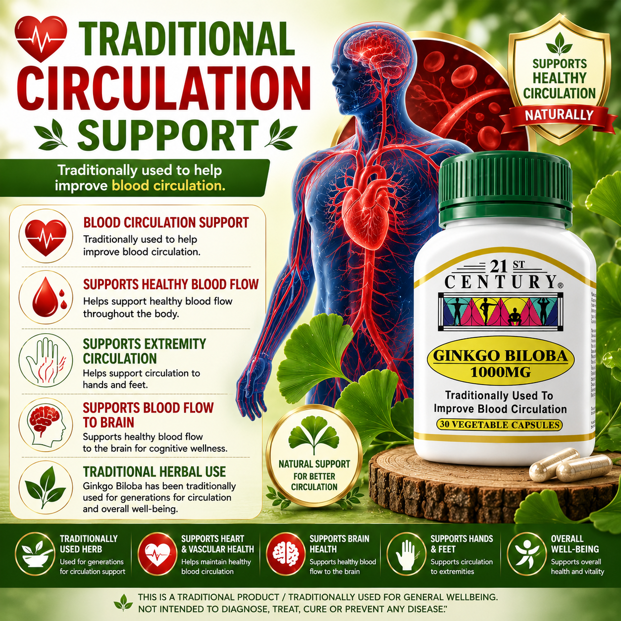 21st Century Ginkgo Biloba 1000mg | Blood Circulation & Brain Support Supplement