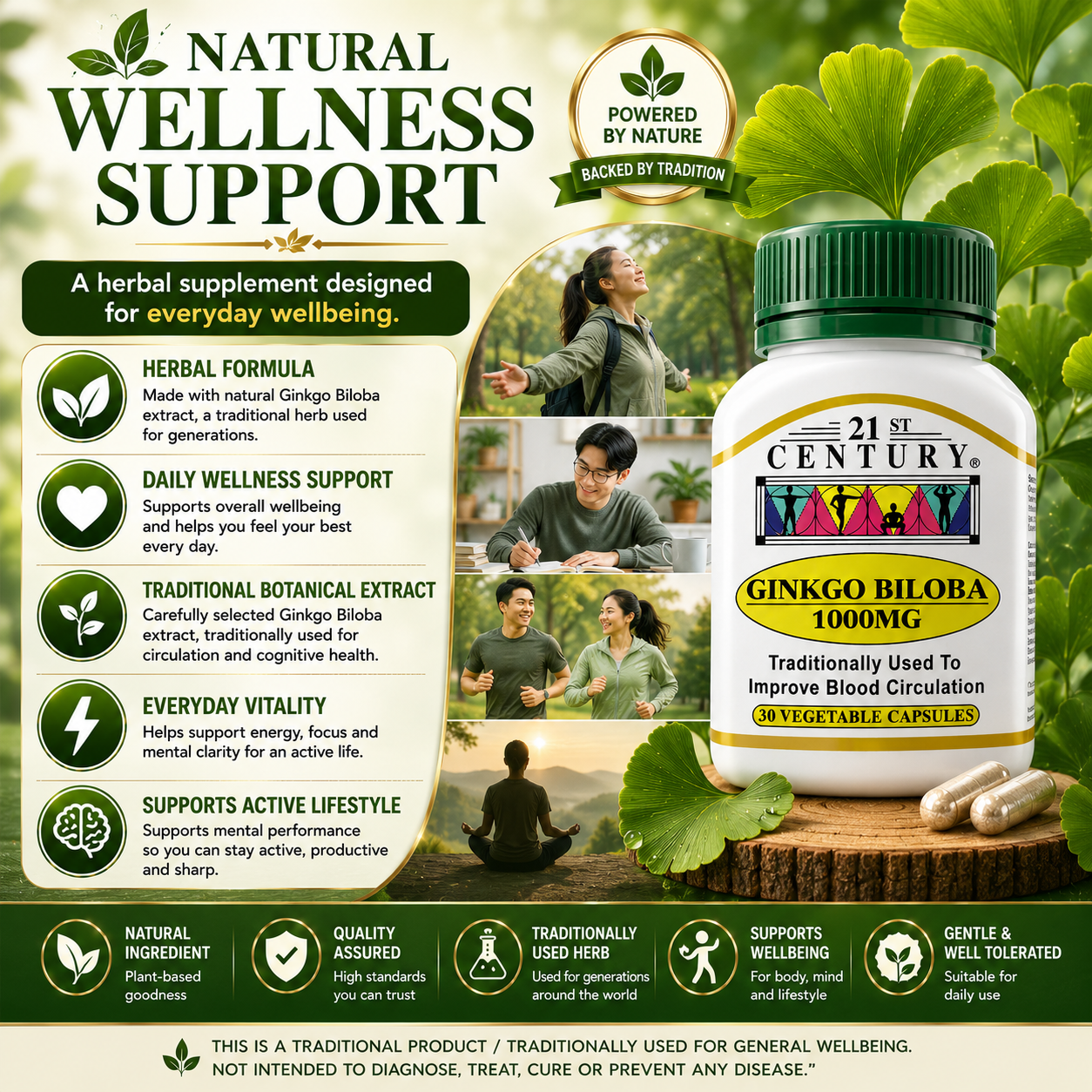 21st Century Ginkgo Biloba 1000mg | Blood Circulation & Brain Support Supplement
