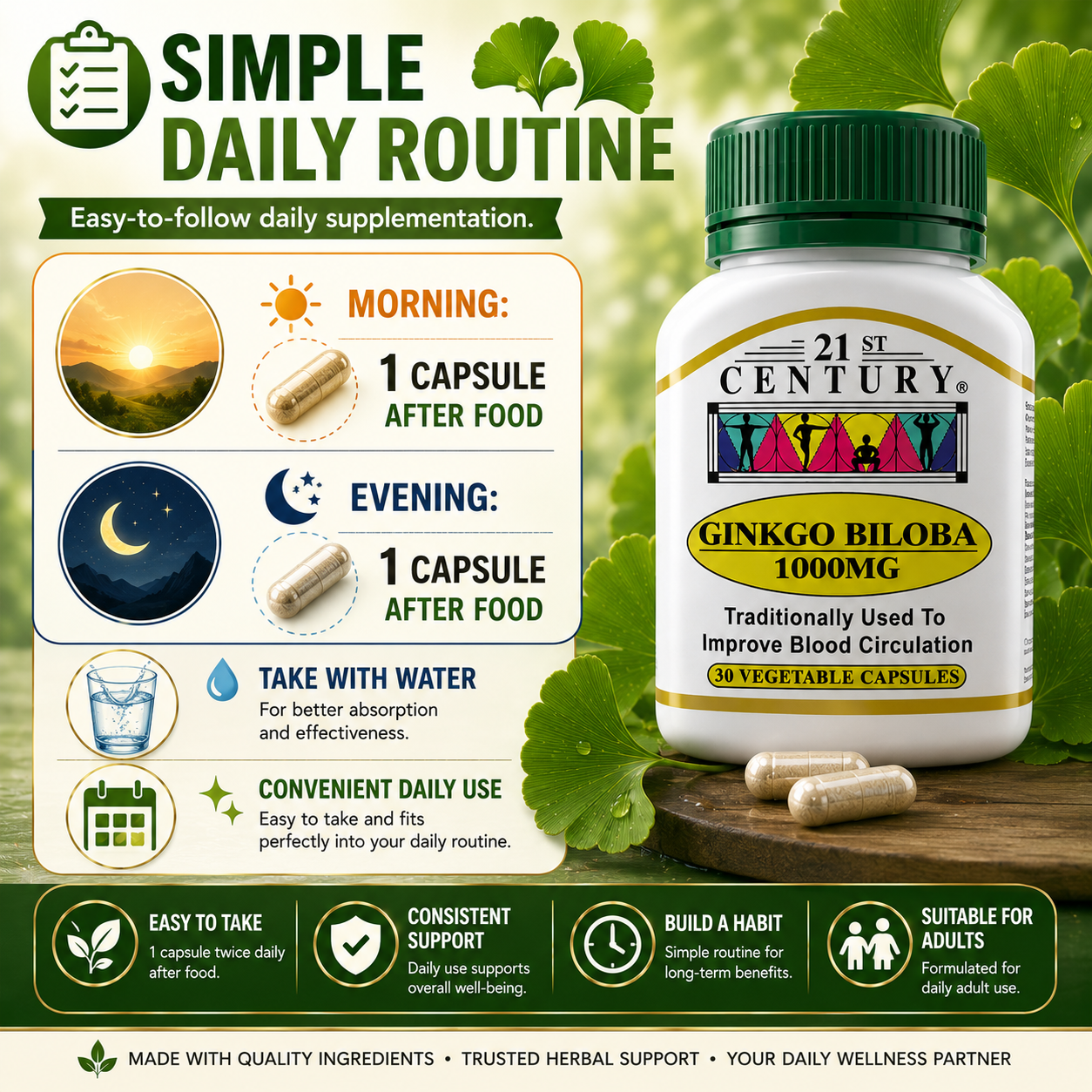 21st Century Ginkgo Biloba 1000mg | Blood Circulation & Brain Support Supplement