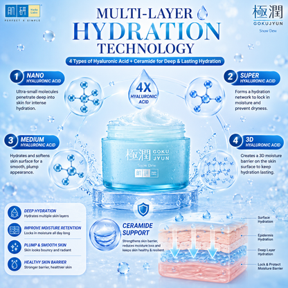 Hada Labo Gokujyun Sorbet Hydrating Snow Dew Cream 50g | Instant Refreshing Feel