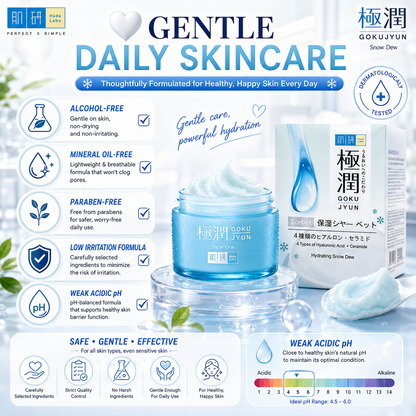 Hada Labo Gokujyun Sorbet Hydrating Snow Dew Cream 50g | Instant Refreshing Feel