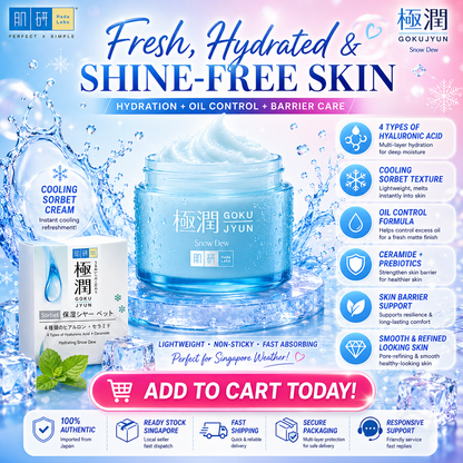 Hada Labo Gokujyun Sorbet Hydrating Snow Dew Cream 50g | Instant Refreshing Feel