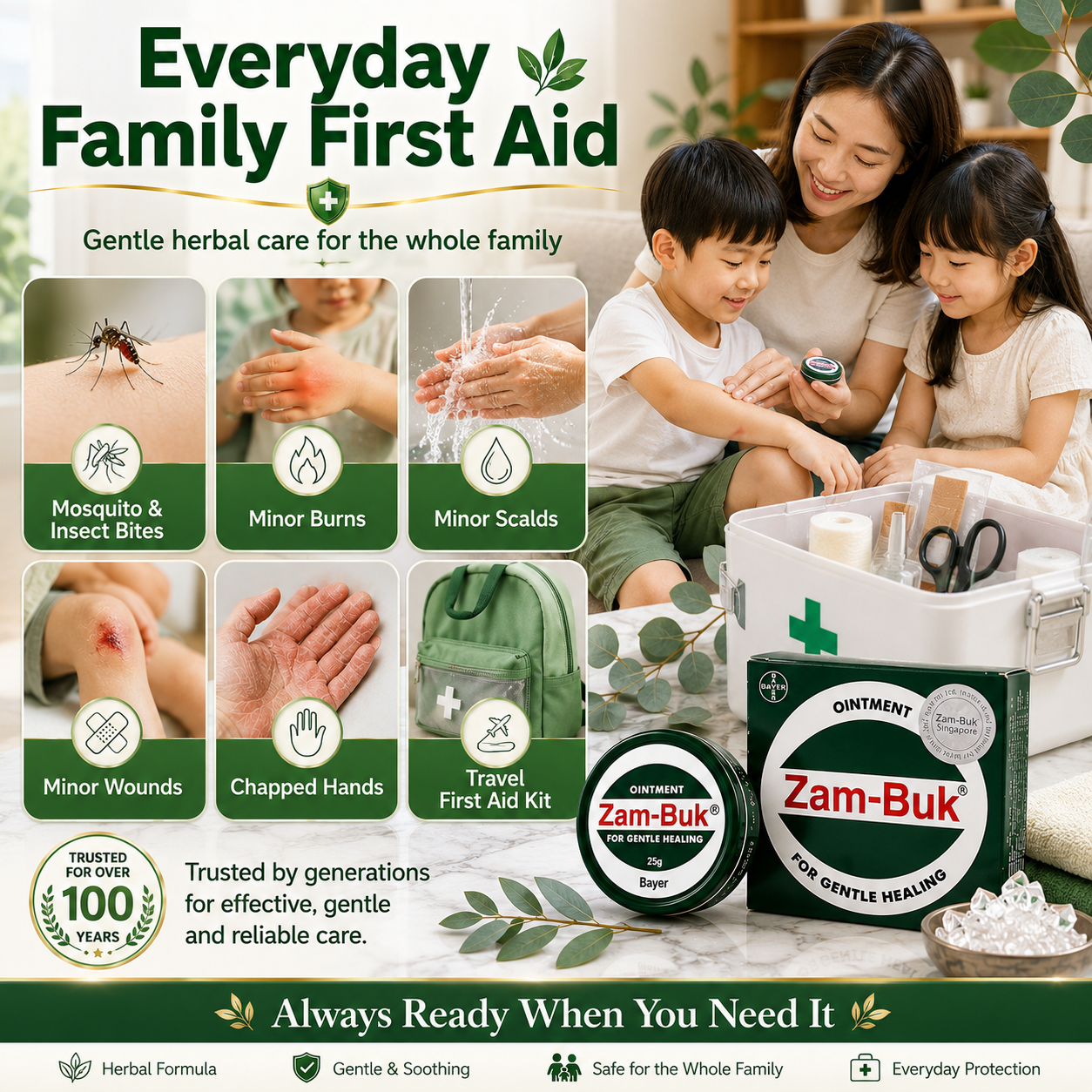 Zam-Buk® Medicated Ointment | Herbal Balm for Temporary Relief of Minor Burns, Insect Bites, Bruises & Chapped Hands | 25g